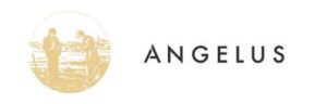 Domaine-Angelus-500x160